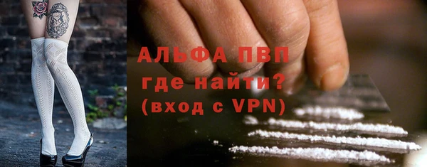 стаф Киренск