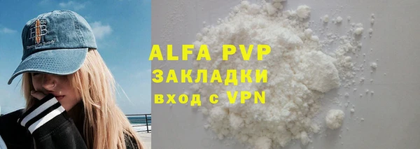 стаф Киренск