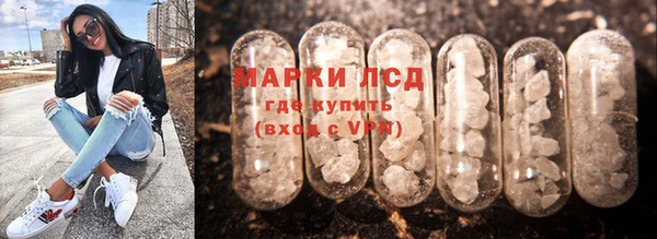 стаф Киренск